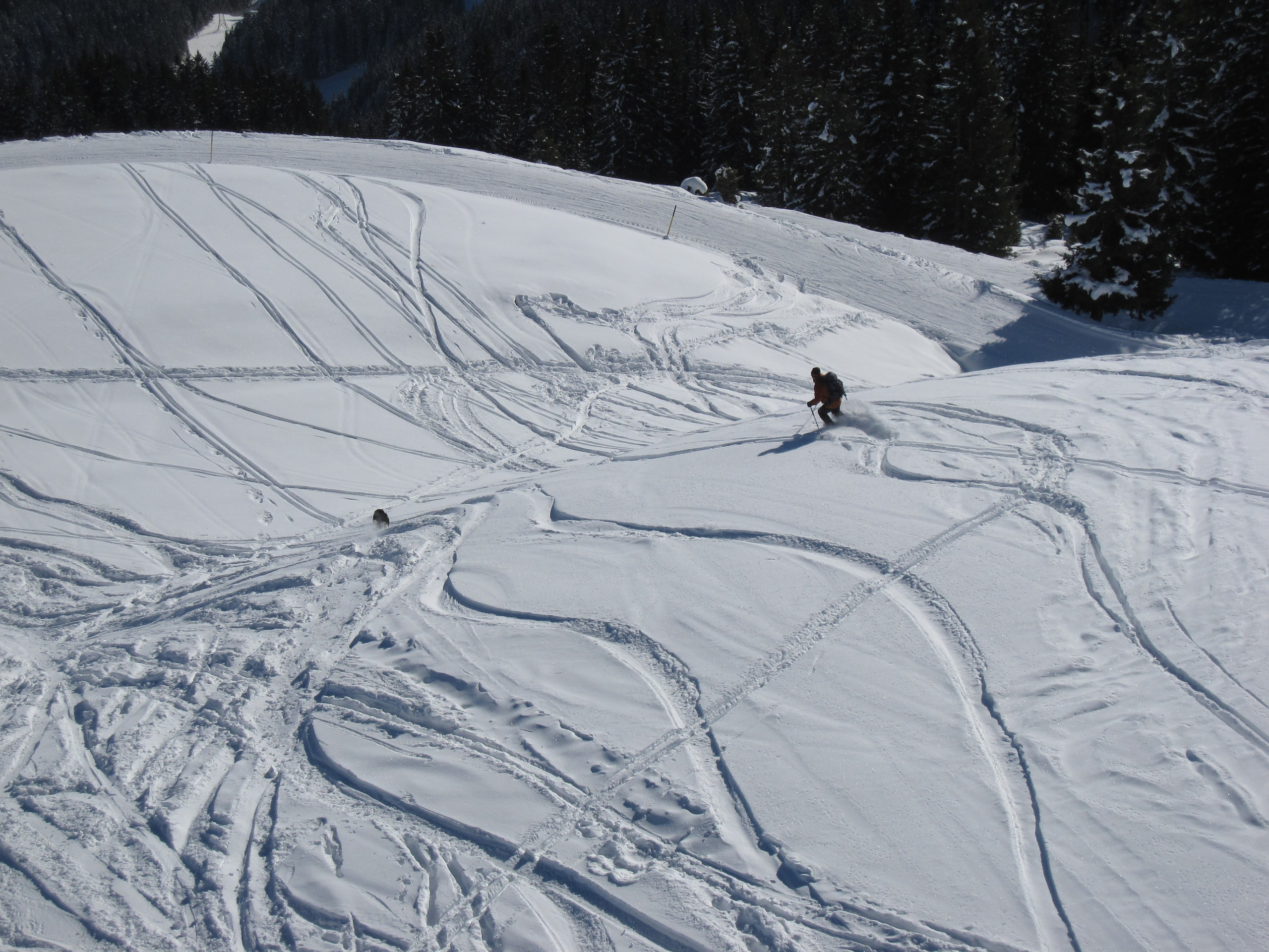 2011 — Австрия. OneSnap