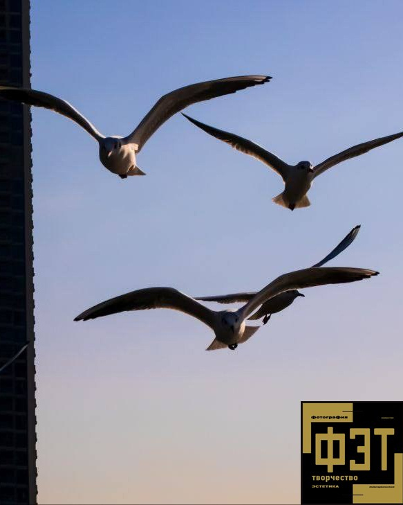 Наталья Переверзева