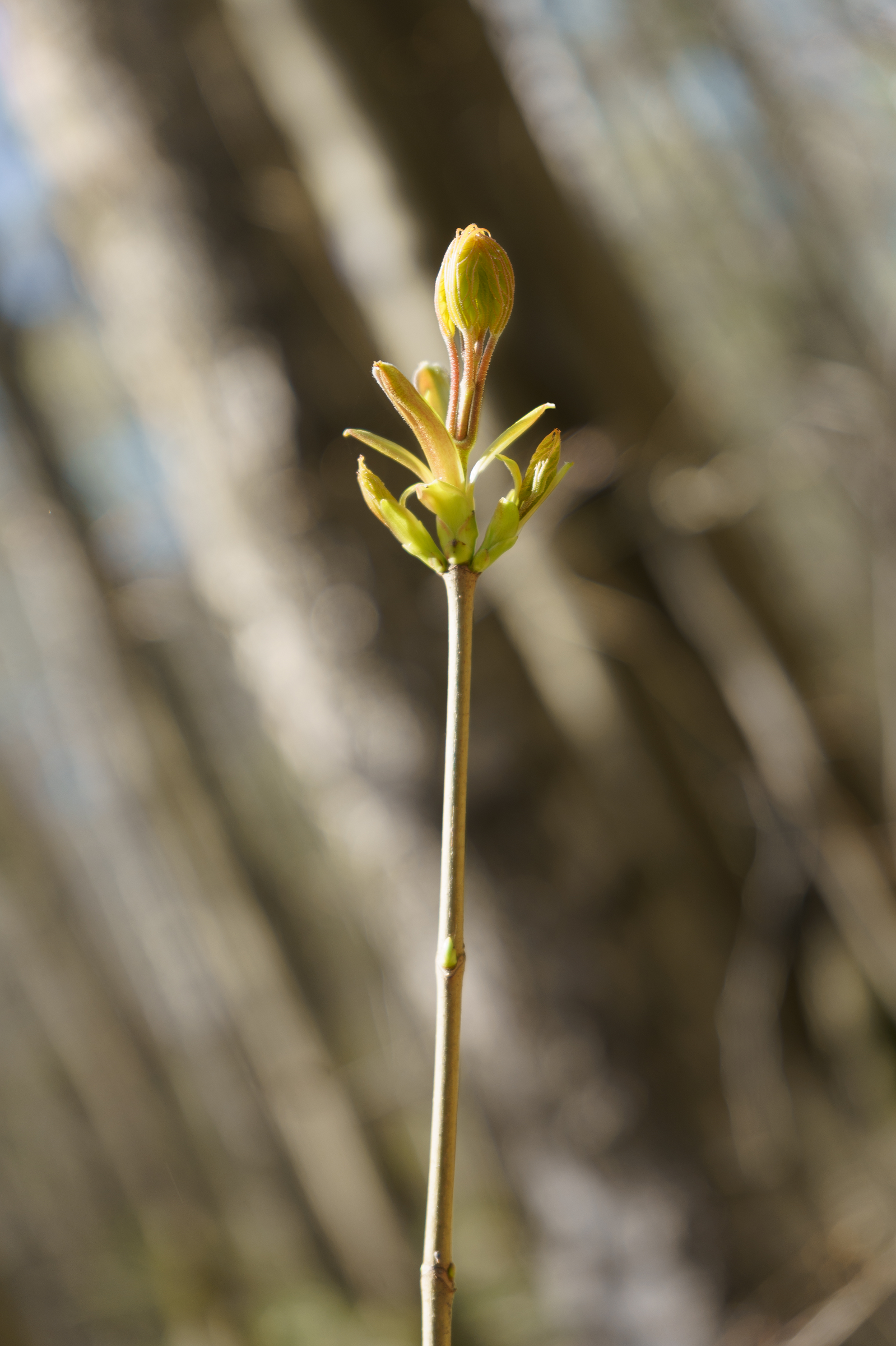 Мои фотоработы на выставке проекта ФОТОСЕЗОНЫ-2024. Фотохудожник в Москве Виктория Лаврова Искусство авторской фотографии для Вас