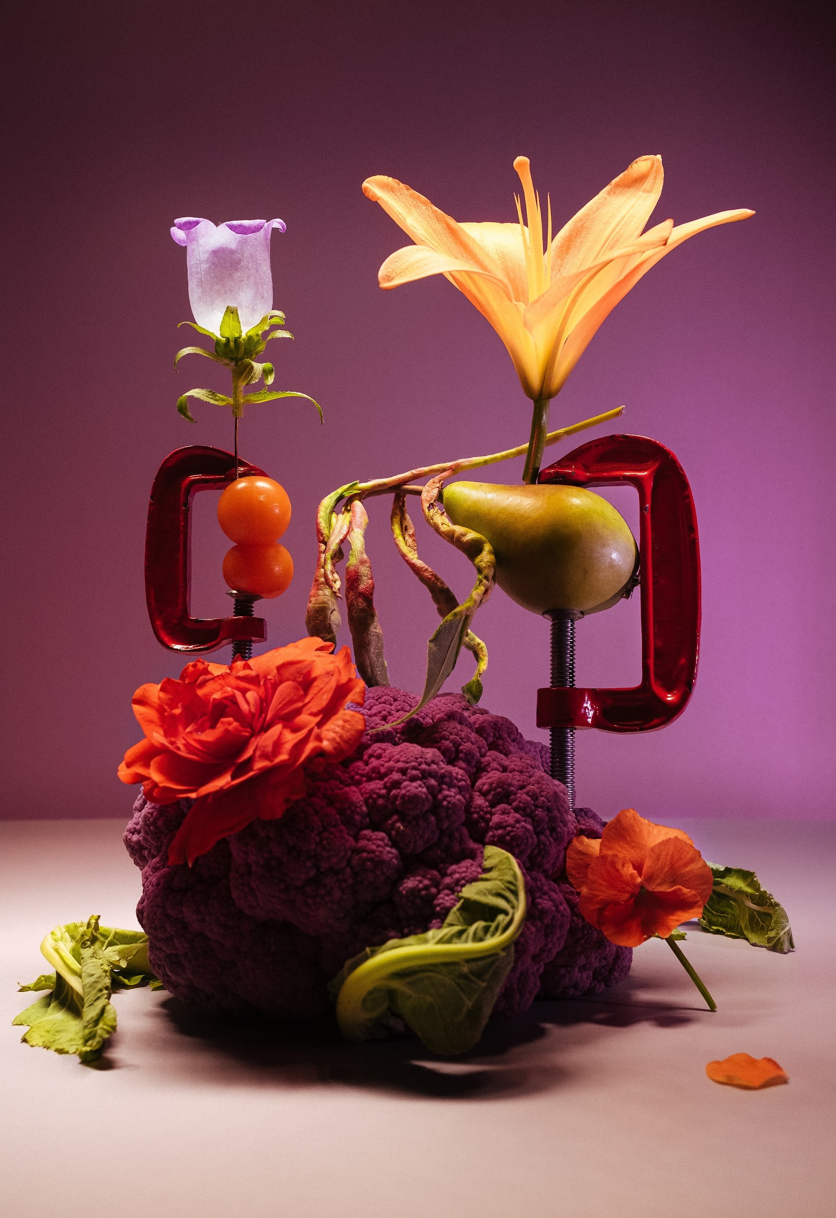 Цифровая фотография для печати интерьерного постера.