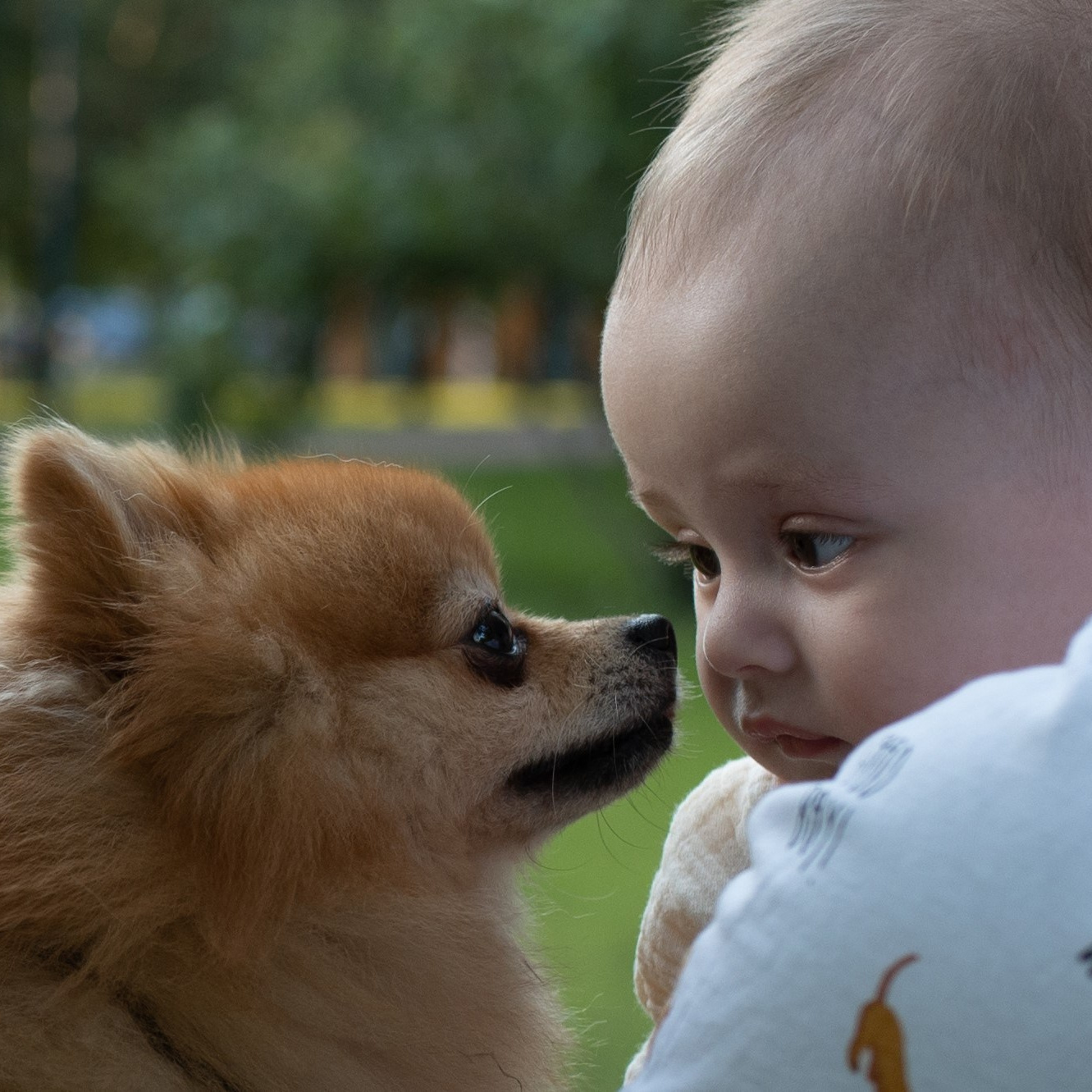 Услуги. Семейный фотограф в Москве Ольга Барсукова