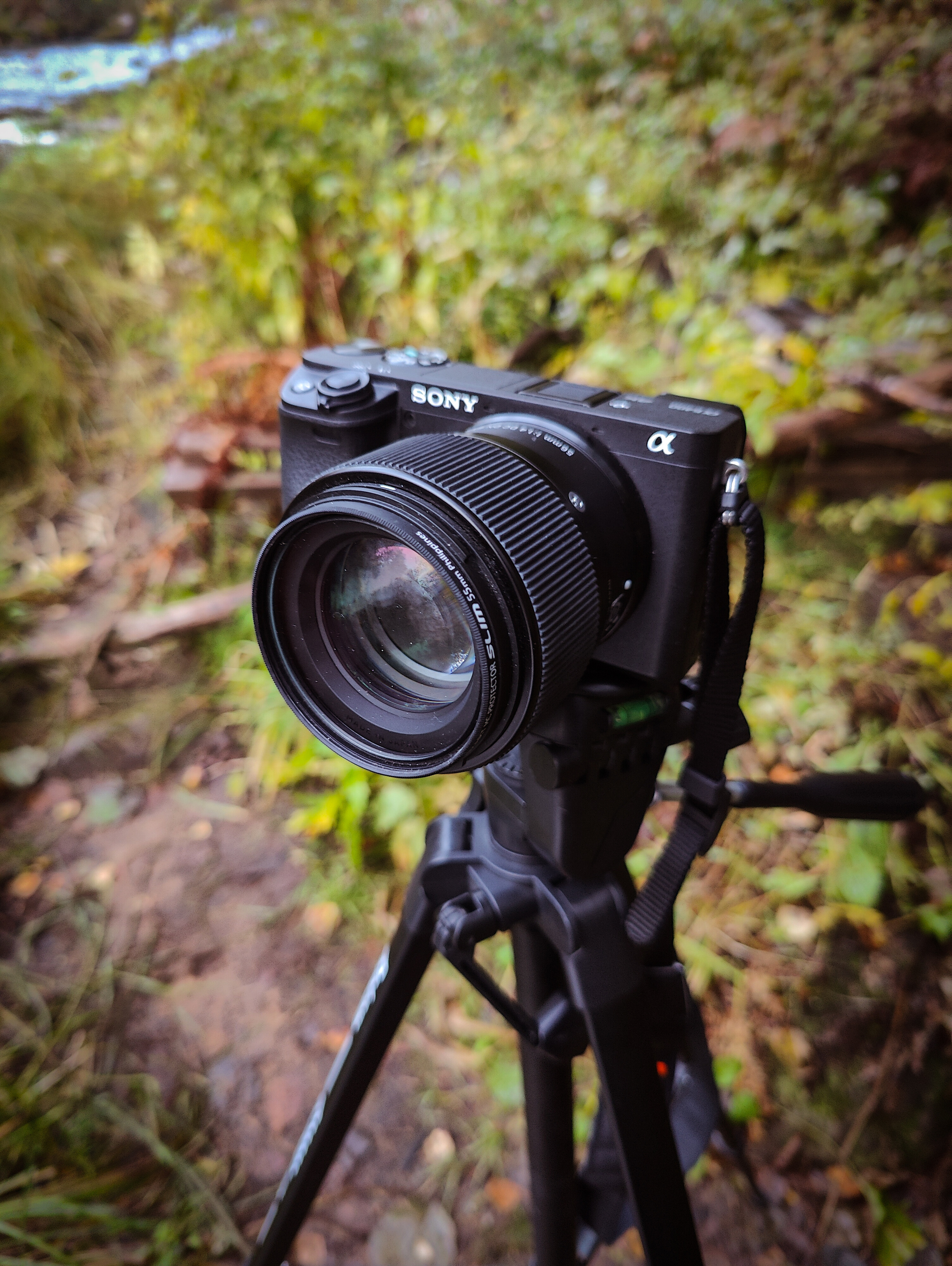 О пейзажах. Фотограф людей и животных в Санкт-Петербурге Марина Бурмистрова