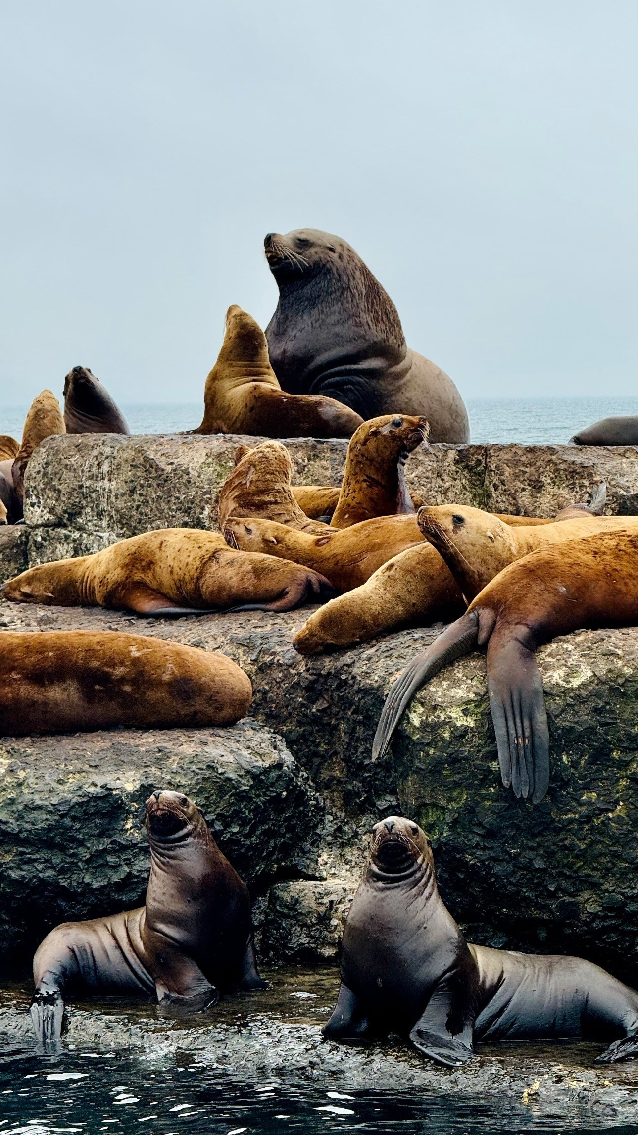 Камчатка | лето — осень