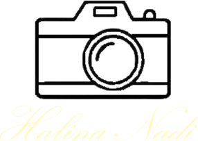 nadipho.wfolio.pro