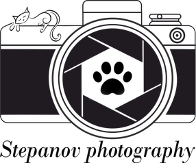 gennadii-stepanov.ru