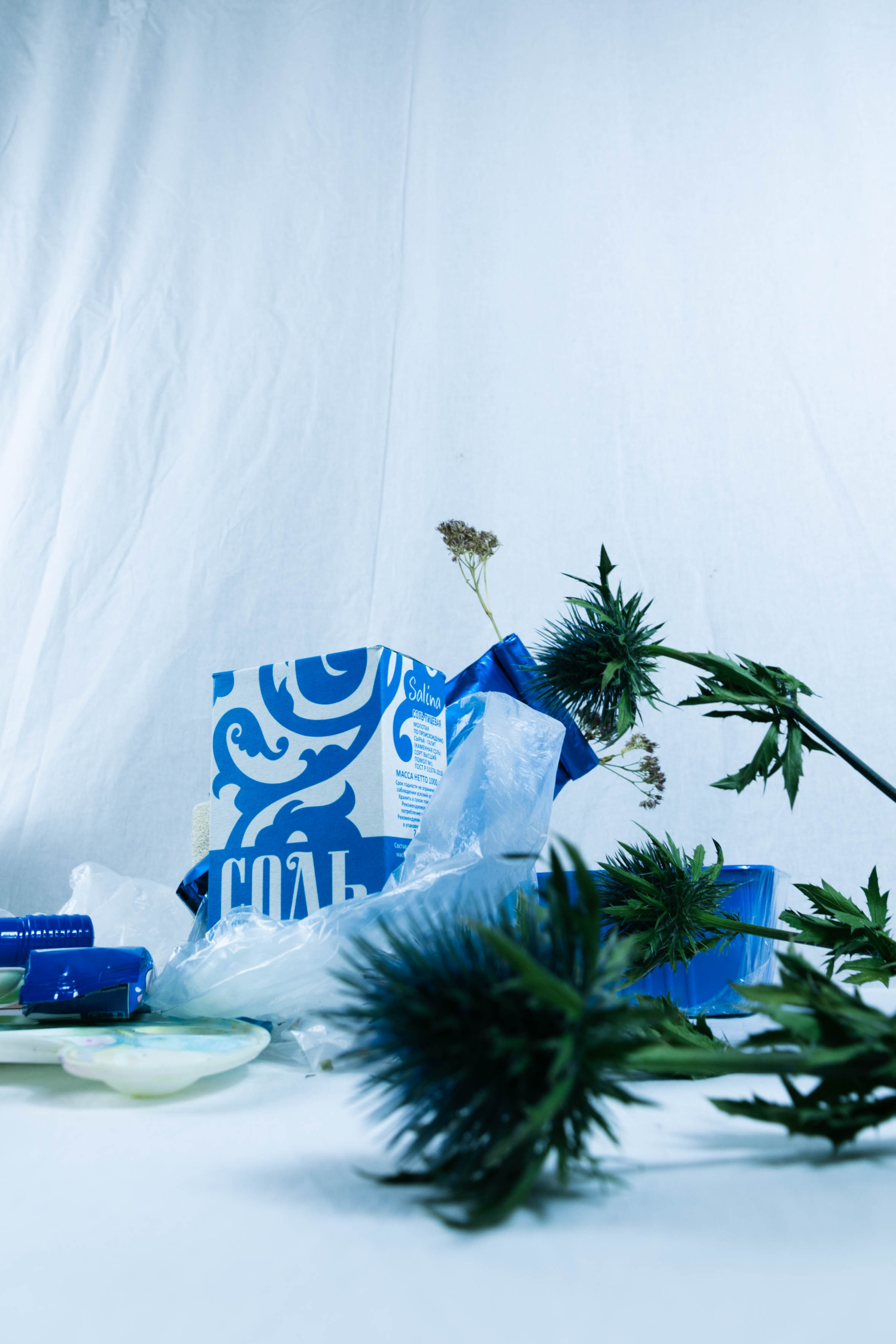 Соль. DASHA KALNINA