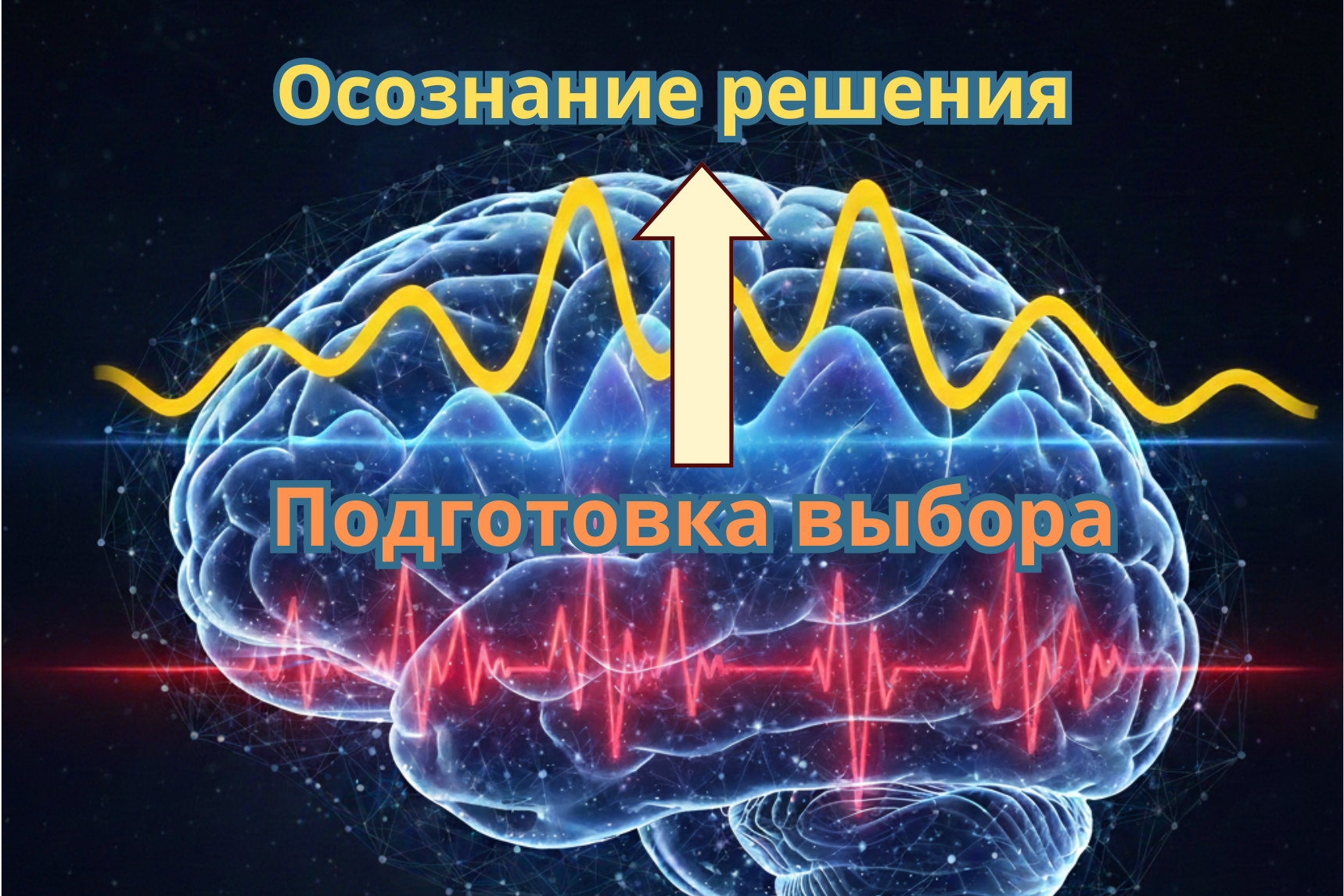 Мозг принимает решение за нас. Мысли вне сознания. Гид и фотограф в Валенсии Новиков Михаил