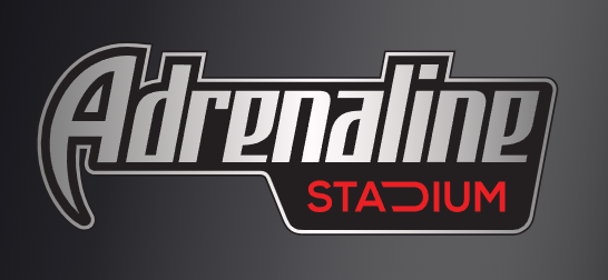 Наши ПАРТНЕРЫ. «Птичка на проводе»: информационный портал в Москве