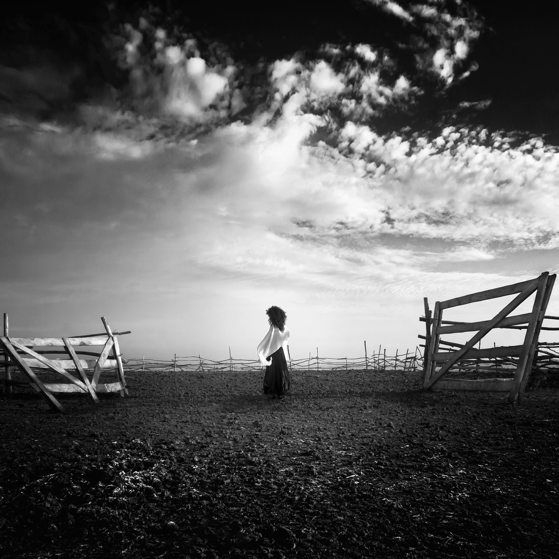 Художественная фотография | Художественная галерея |Покупка фотографий