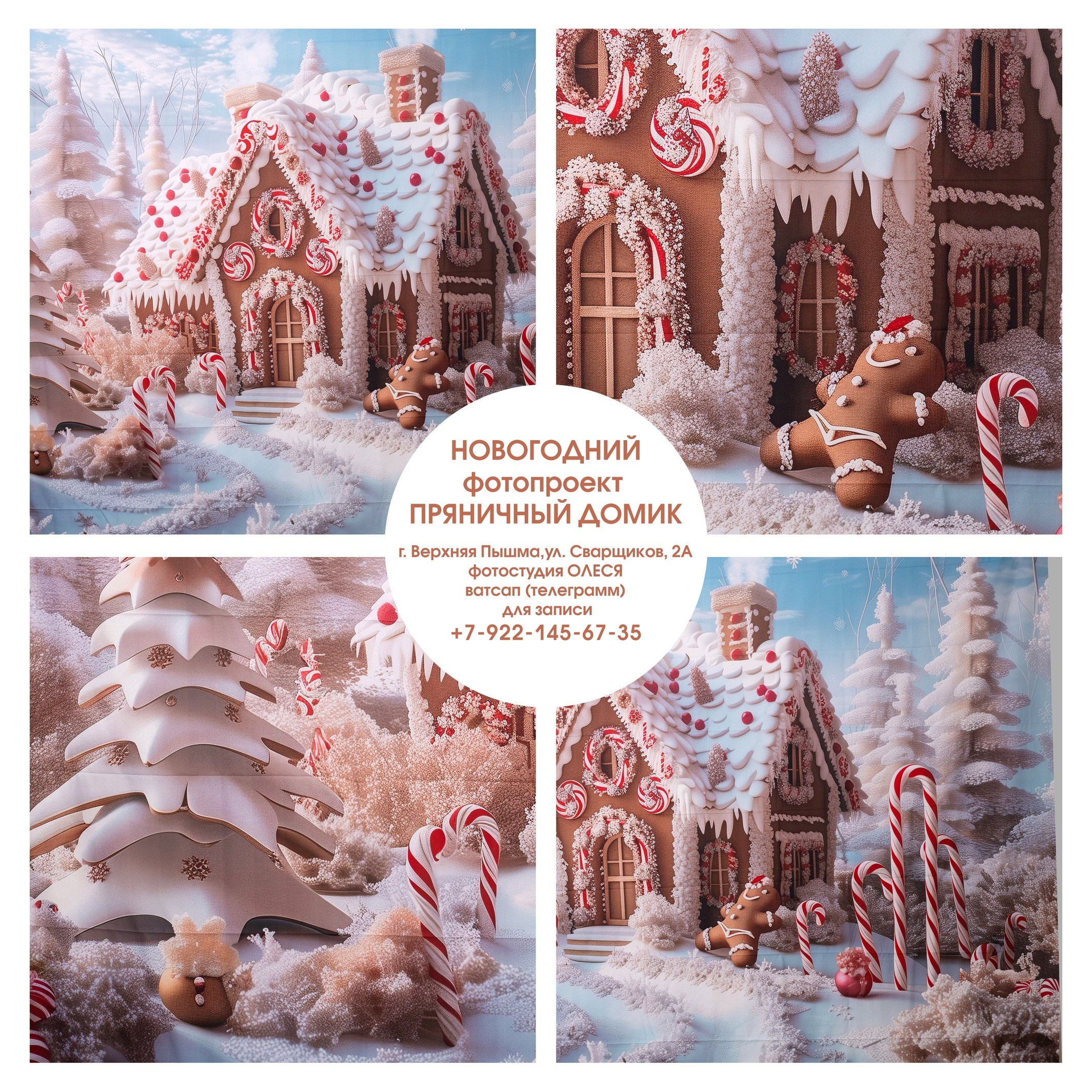 Семейная новогодняя фотосессия. Фотостудия «Олеся». Фотостудия в г. Верхняя Пышма