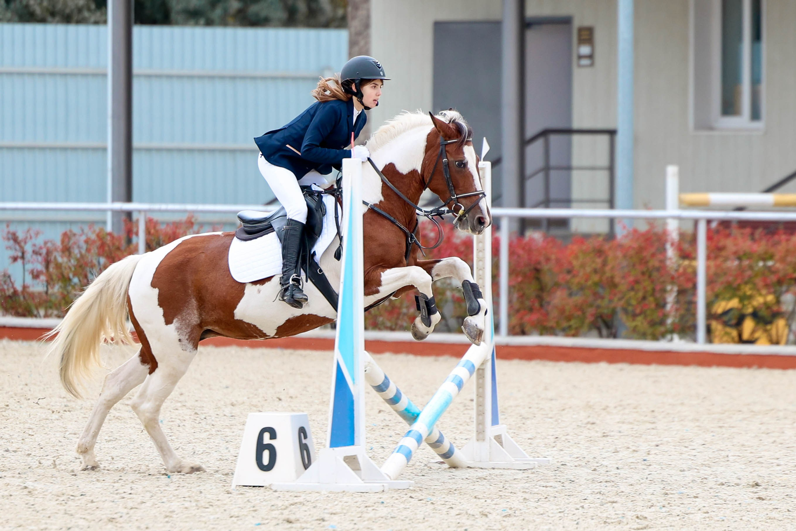 КСК КОНКОРД 20.09. Фотограф Баринова Полина