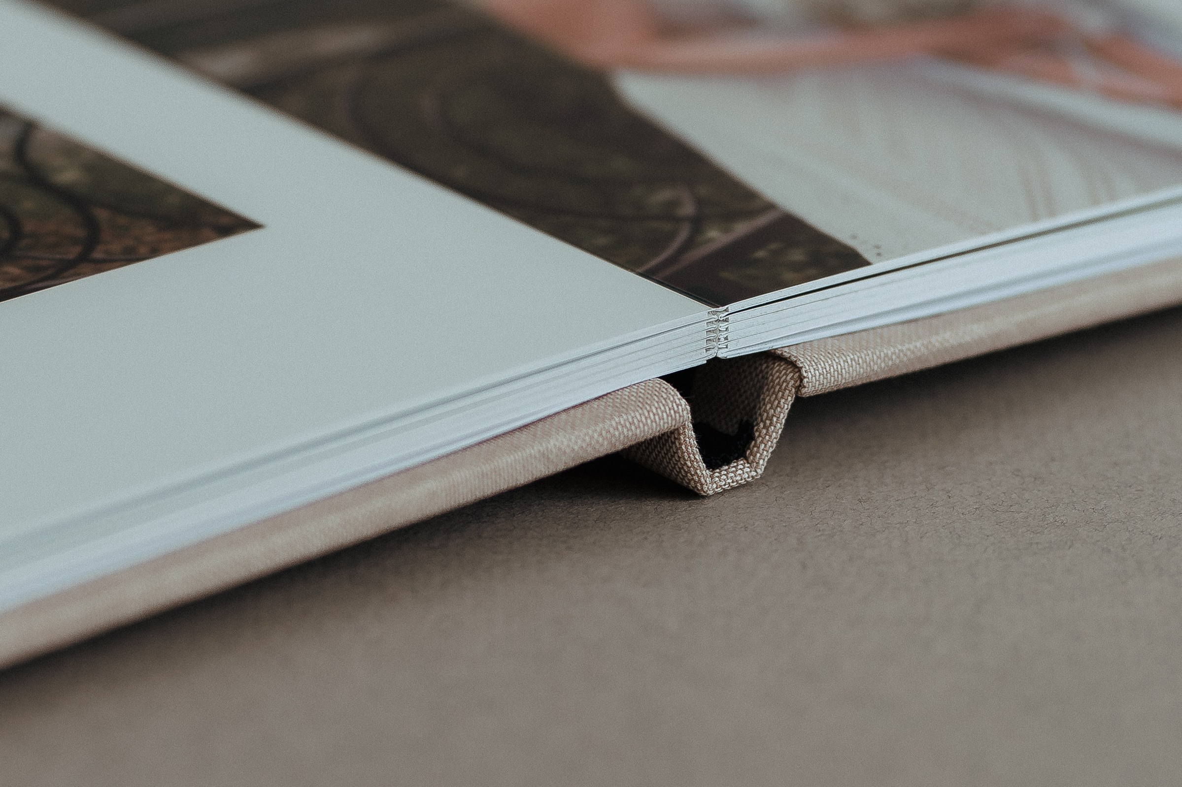 БФ (плотные листы). Семейный и детский фотограф в Омск Пугачева Елена