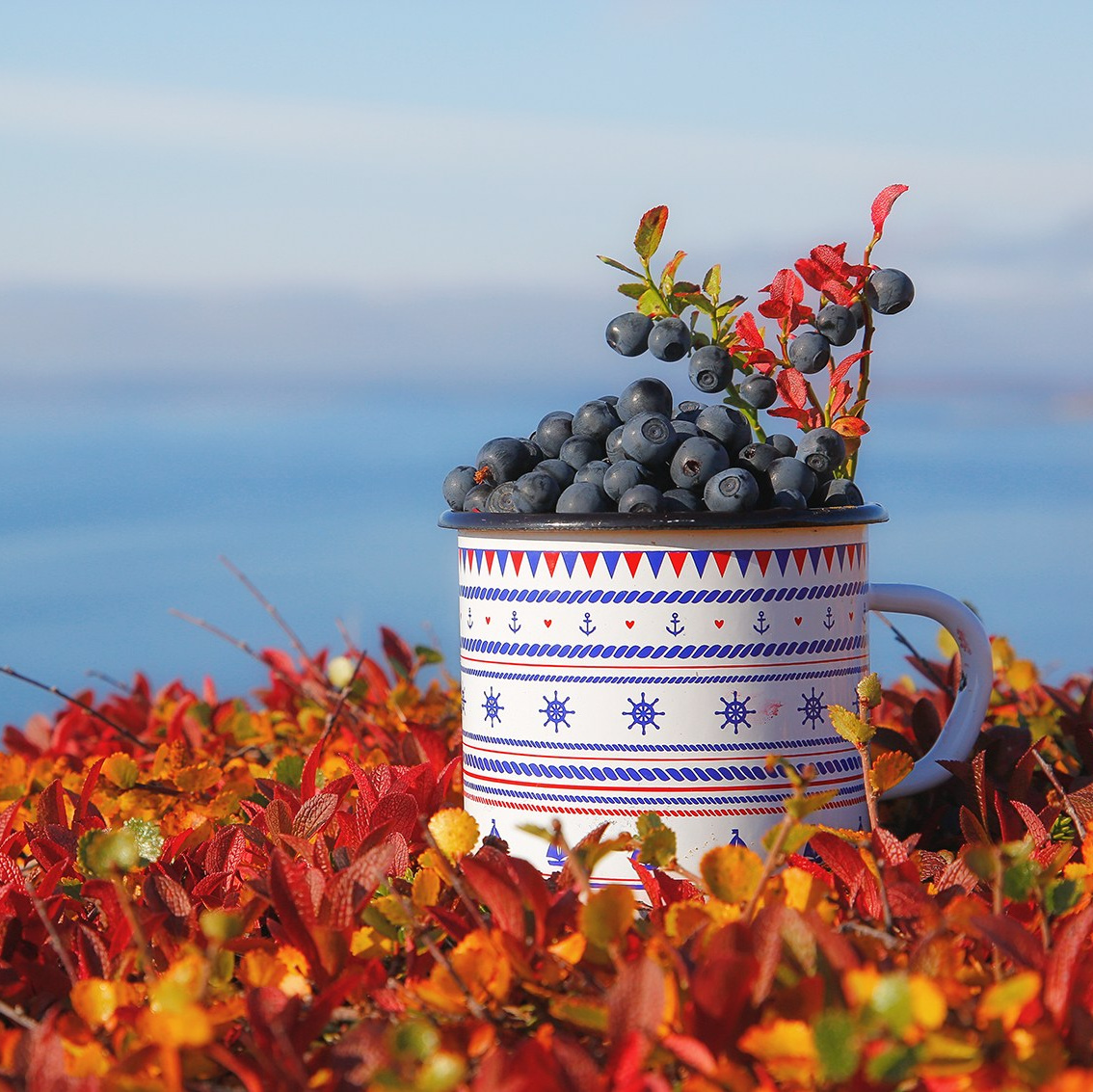 РЫБАЧИЙ 2025. Фототуры и обучение пейзажной фотографии