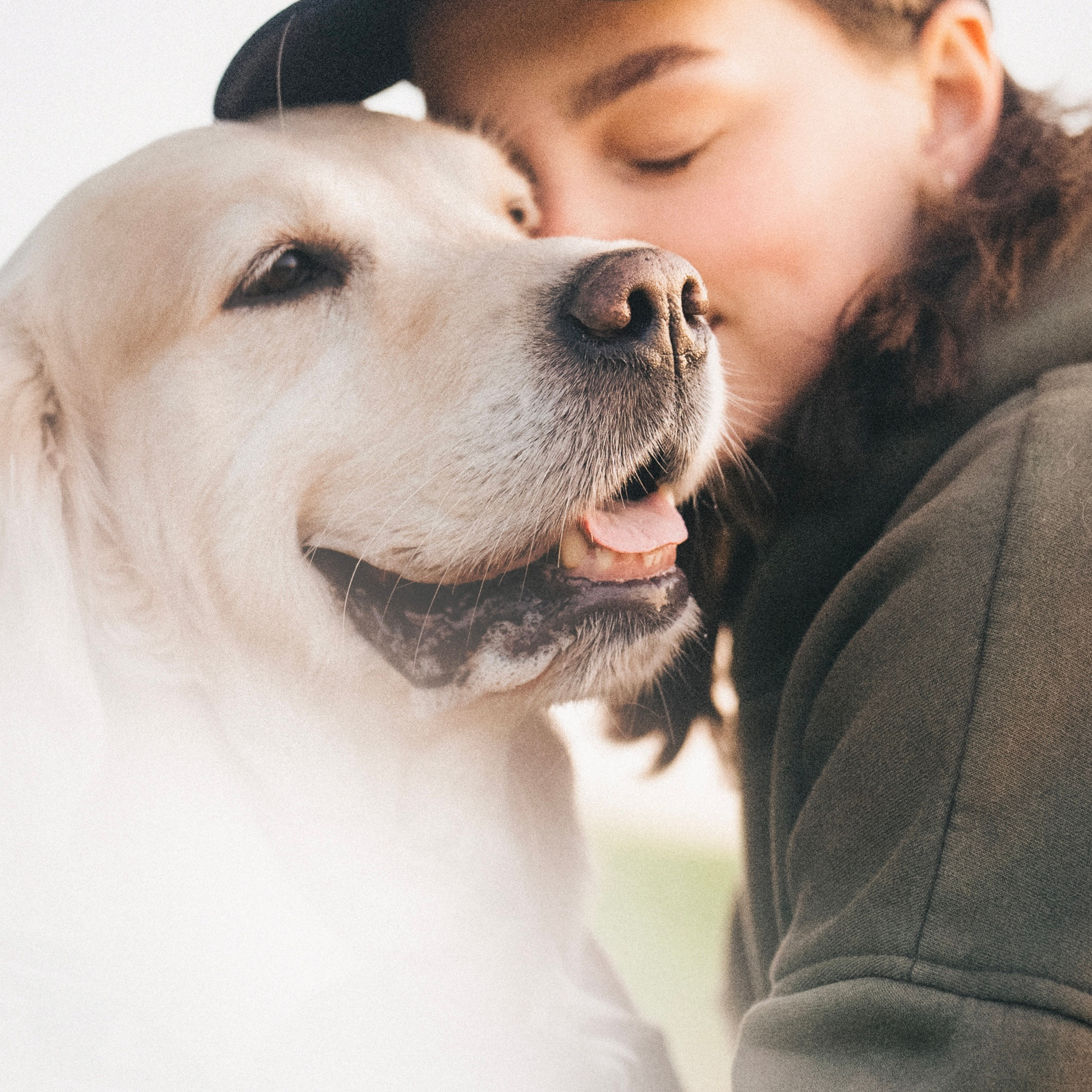 Обо мне. Фотограф — Анималист | Санкт-Петербург