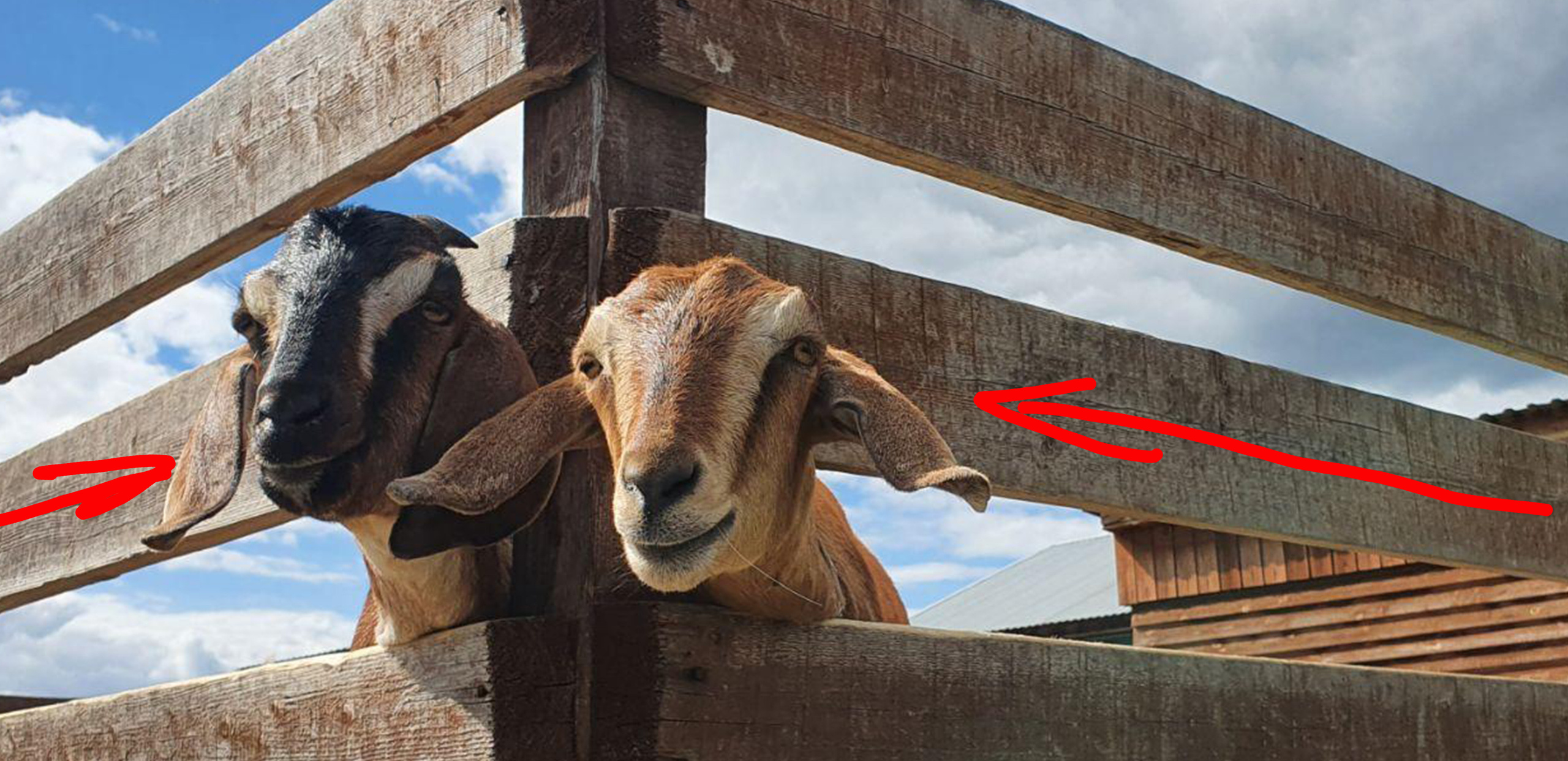 Съёмка на телефон. Часть 2. Фотограф в жанре Ню. Татьяна Хасанович. Красноярск