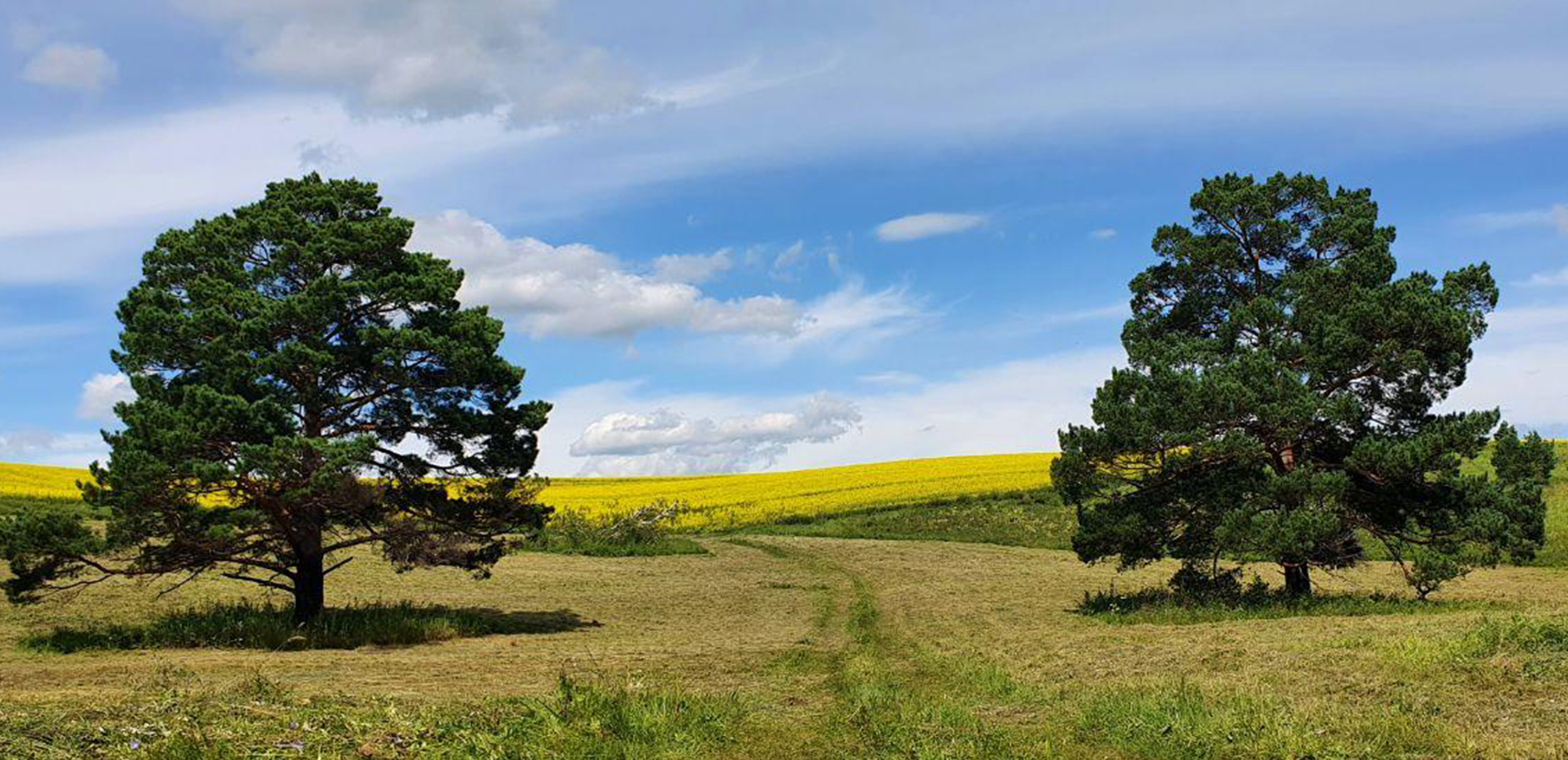 Съёмка на телефон. Часть 2. Фотограф в жанре Ню. Татьяна Хасанович. Красноярск