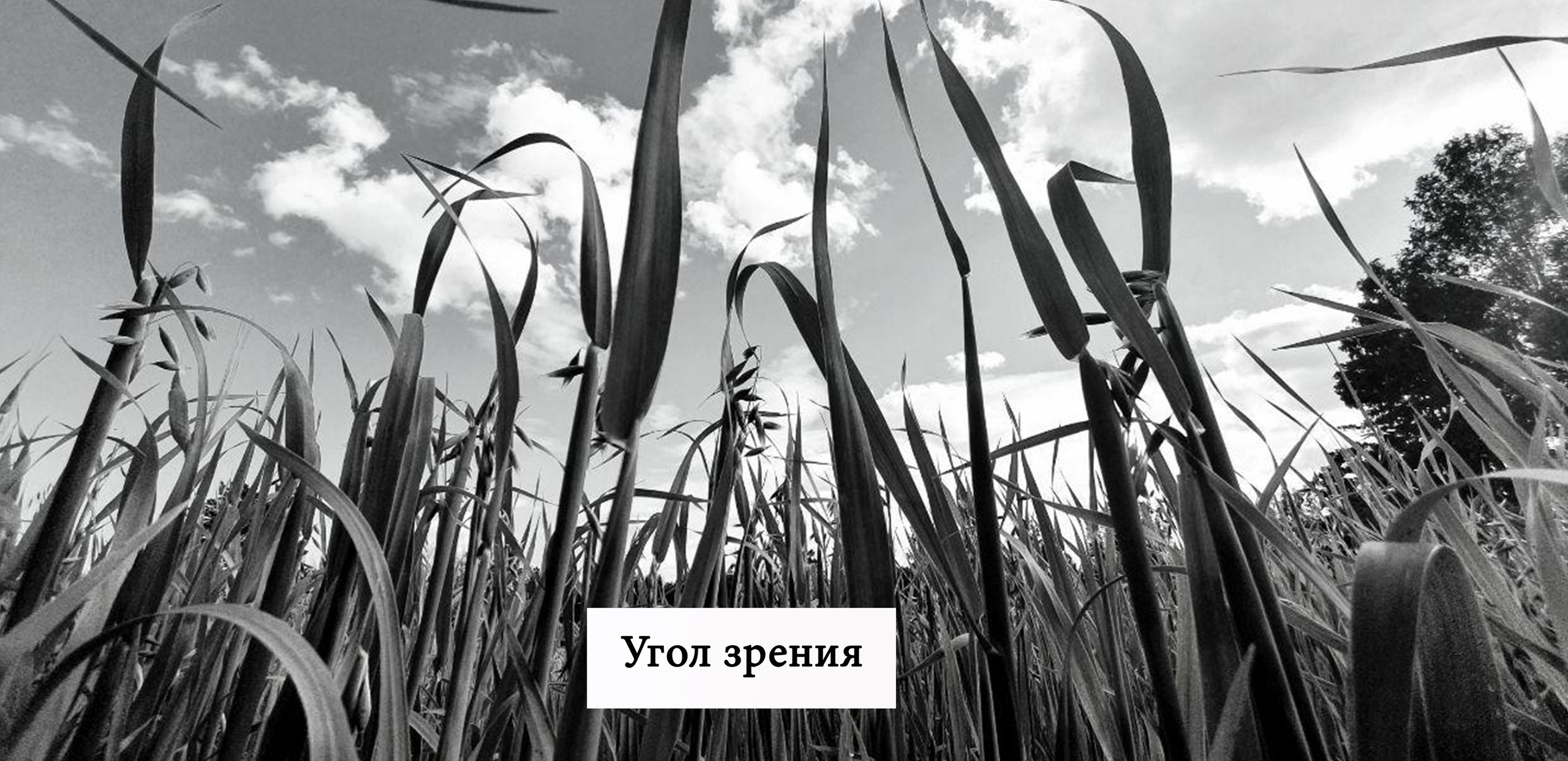 Мобильная съёмка. Часть 3. Фотограф в жанре Ню. Татьяна Хасанович. Красноярск