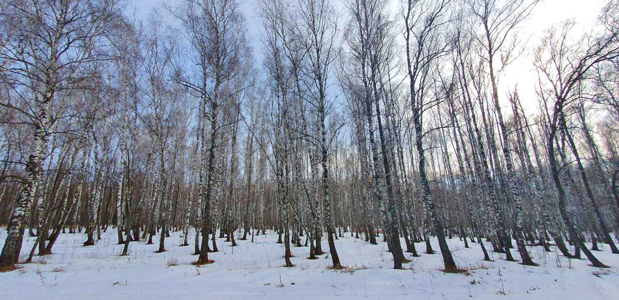 Мобильная съёмка. Часть 3. Фотограф в жанре Ню. Татьяна Хасанович. Красноярск