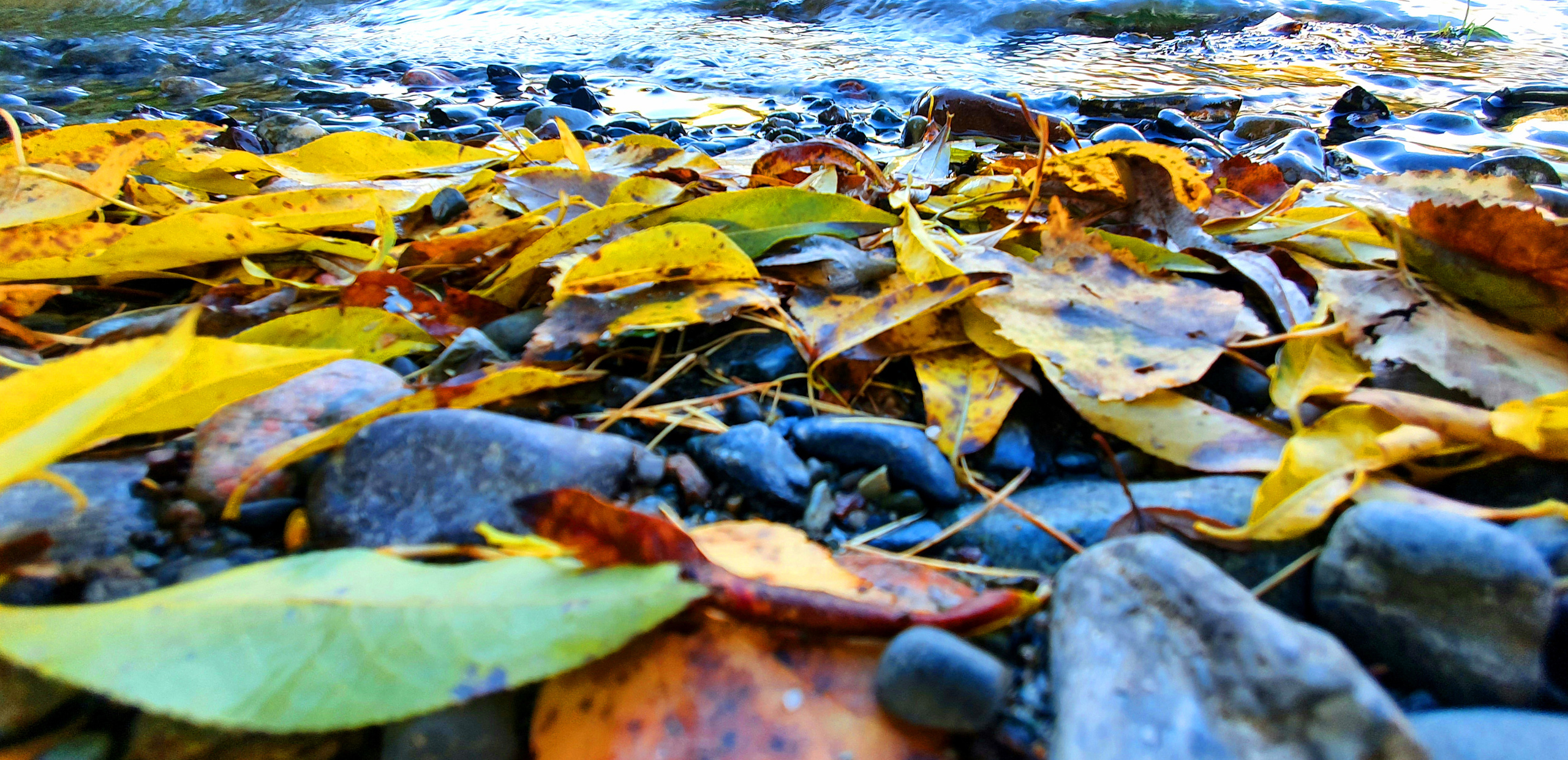 Мобильная съёмка. Часть 3. Фотограф в жанре Ню. Татьяна Хасанович. Красноярск