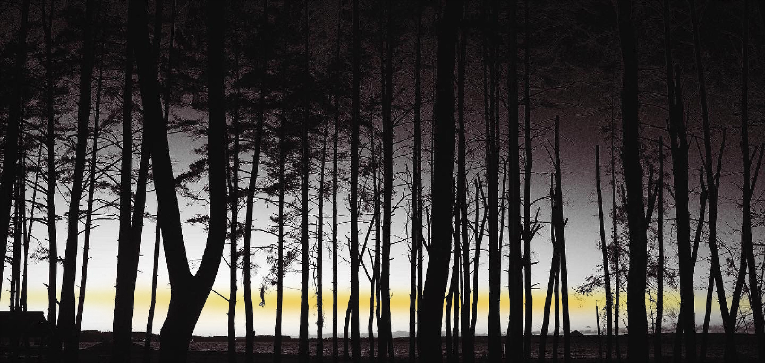 Море внутри. Пылина Ирина — современная фотография