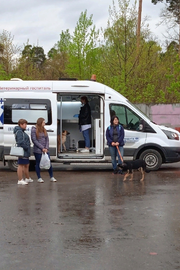 Третья выставка беспородных собак «Для дружбы не важна порода». НРОО КЦ "Собаковод"