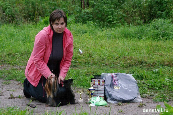 2011-2012 г Результаты выставок. Питомник Йоркширских терьеров Дэнстайл в Санкт-Петербурге заводчик Тих