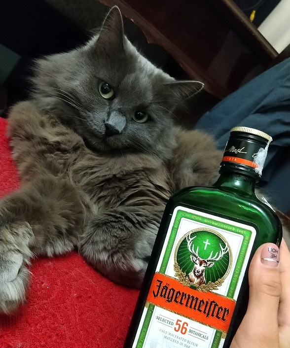 Егермайстер. Маркетолог в Москве, специалист по коммуникациям и рекламе Аня Смоляга