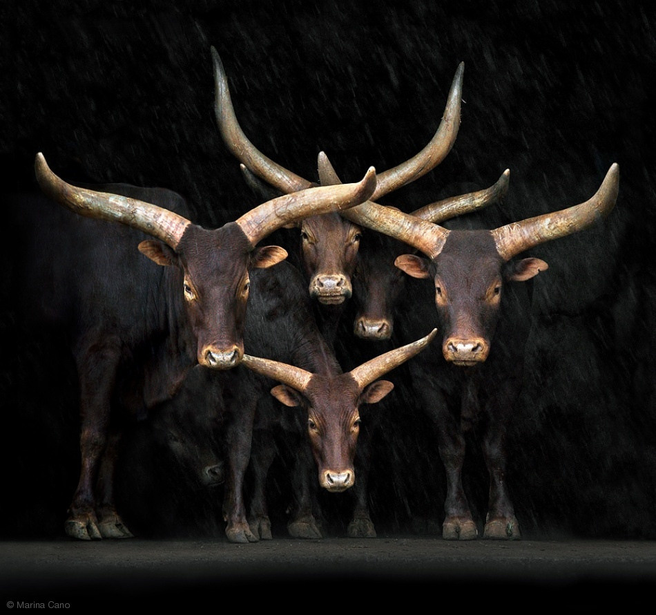 Начинающий фотограф