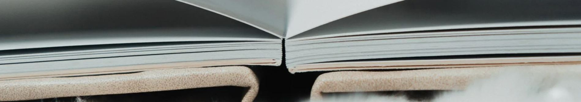 Школьные фотографы Сергей и Олеся Мельниковы