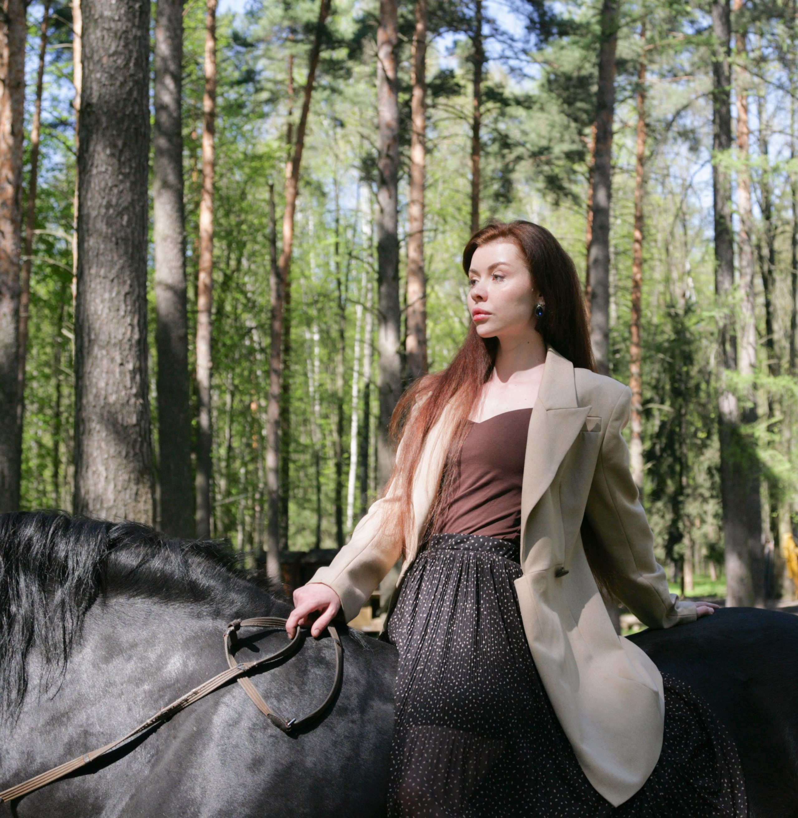 Фотограф с лошадьми в Москве