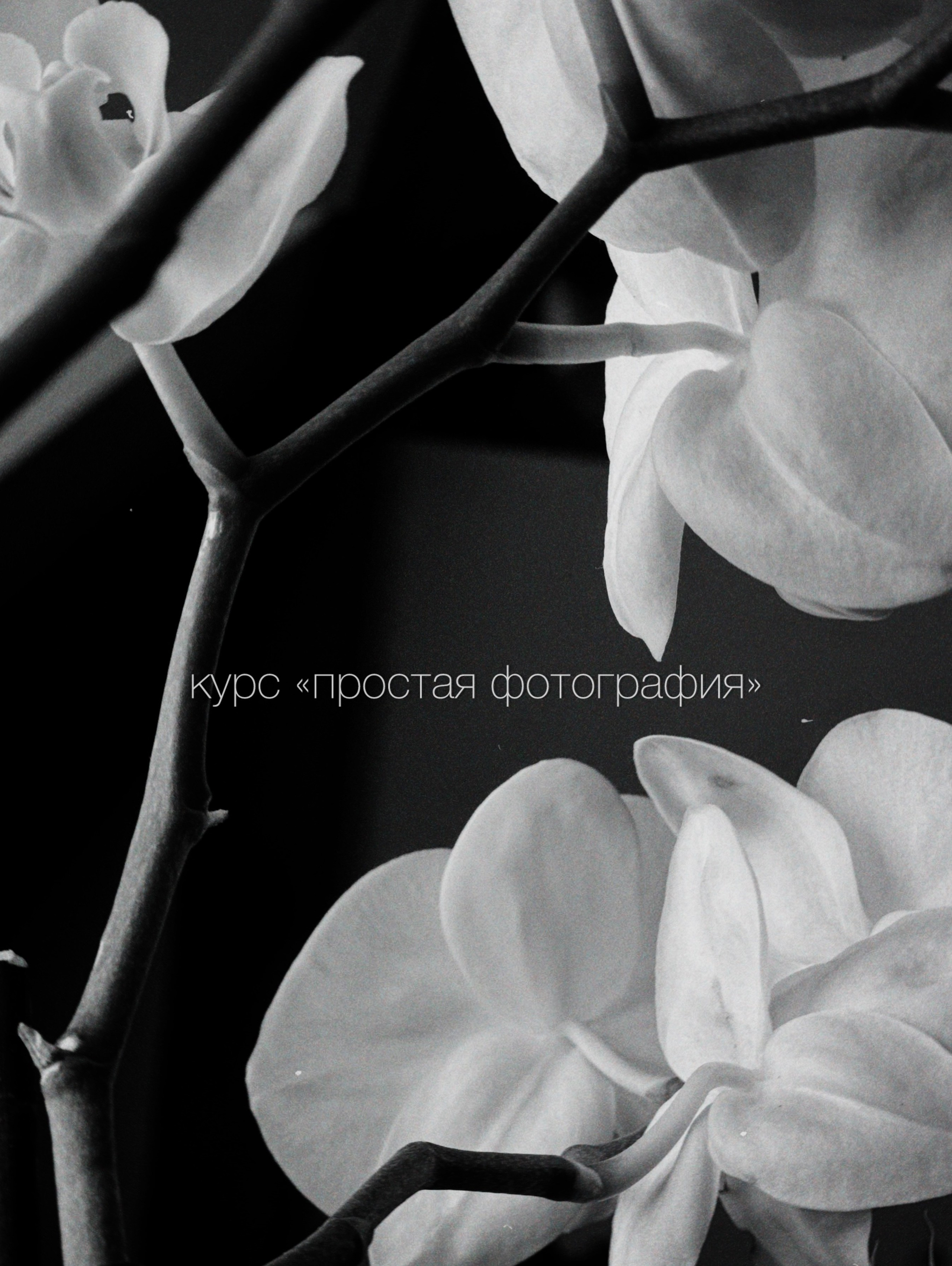 Курс «Простая фотография». Фотограф тюмень москва ксения половодова