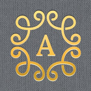 Искусственная кожа. Павел Будаев фотограф pro Улан-Удэ_Агинское_Иркутск