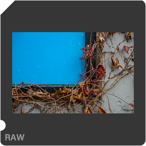 RAW sample