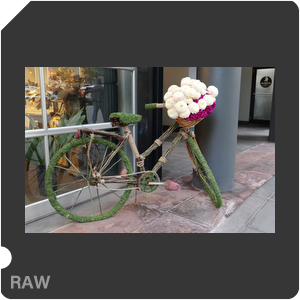 RAW sample