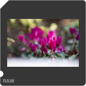 RAW sample