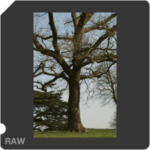 RAW sample