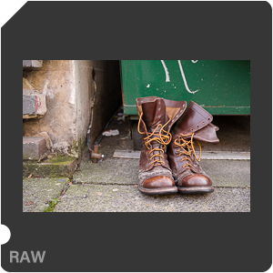RAW sample