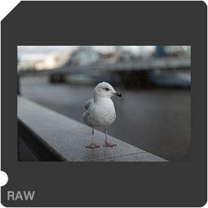 RAW sample