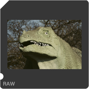 RAW sample