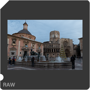 RAW sample