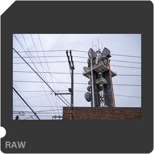 RAW sample