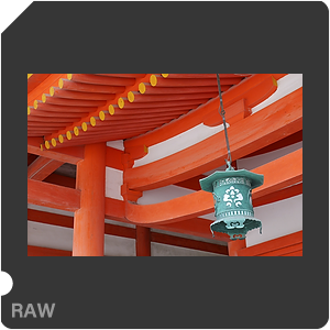 RAW sample