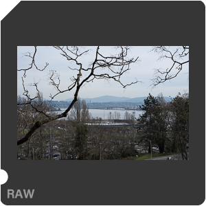 RAW sample