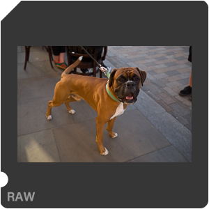 RAW sample