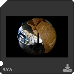 RAW sample