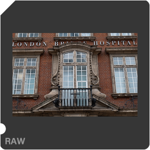 RAW sample