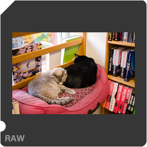 RAW sample