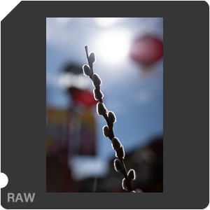 RAW sample