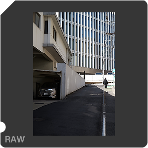 RAW sample