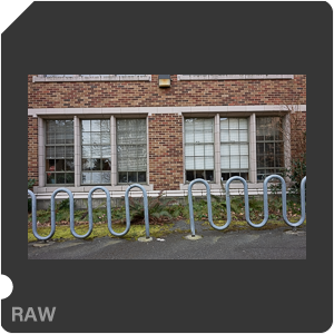 RAW sample